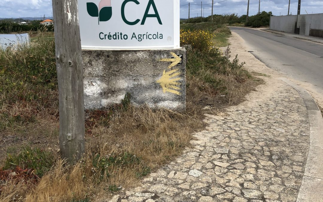 Day 2: Vila do Conde to Esposende