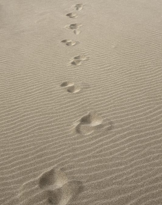 Can you walk the Camino alone?